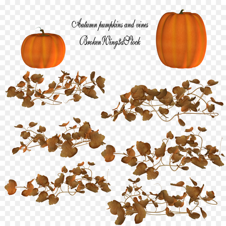 Calabazas，Vides PNG