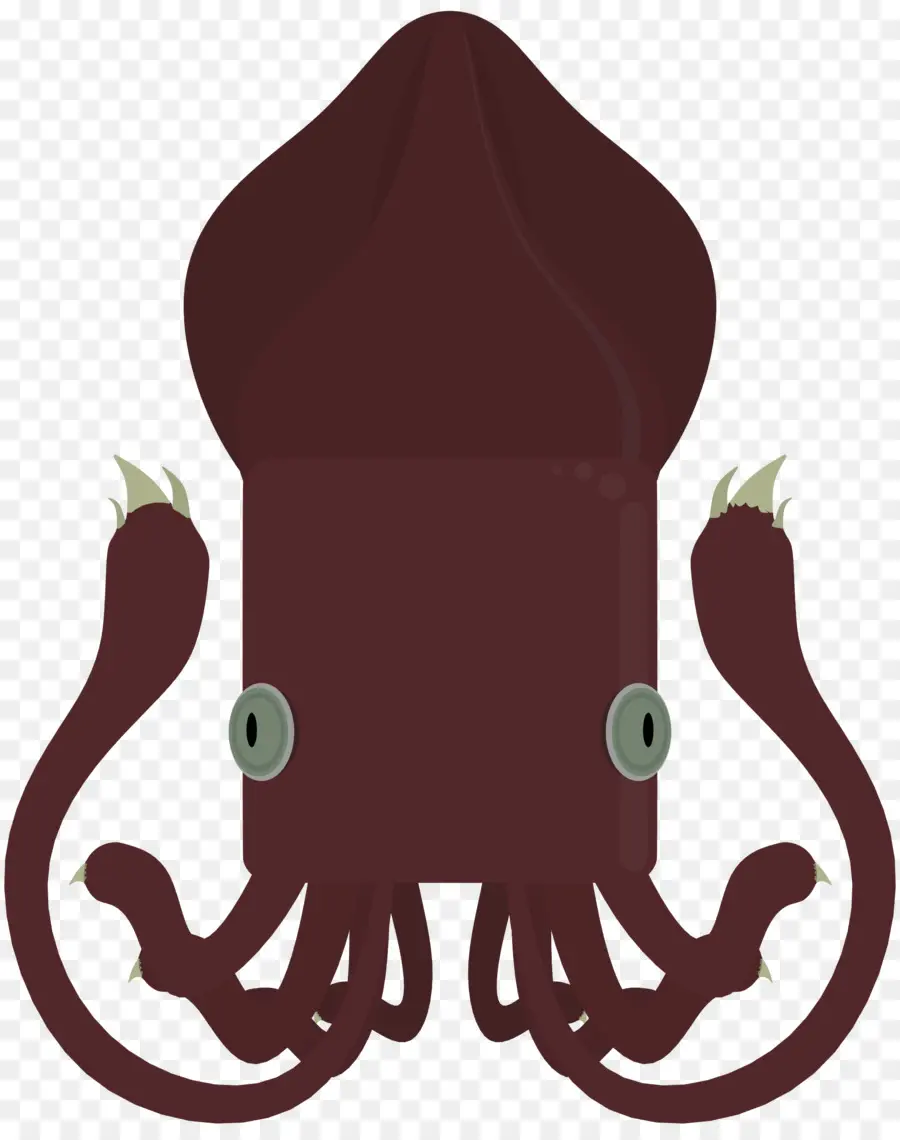 Pulpo，Calamar PNG