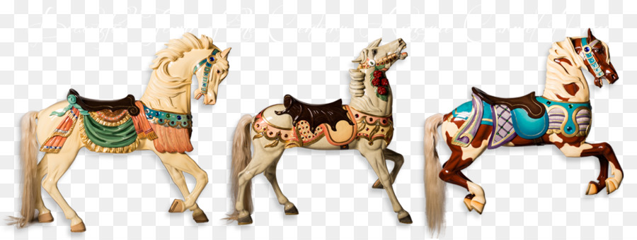 Caballo，La Curva De La Herradura PNG