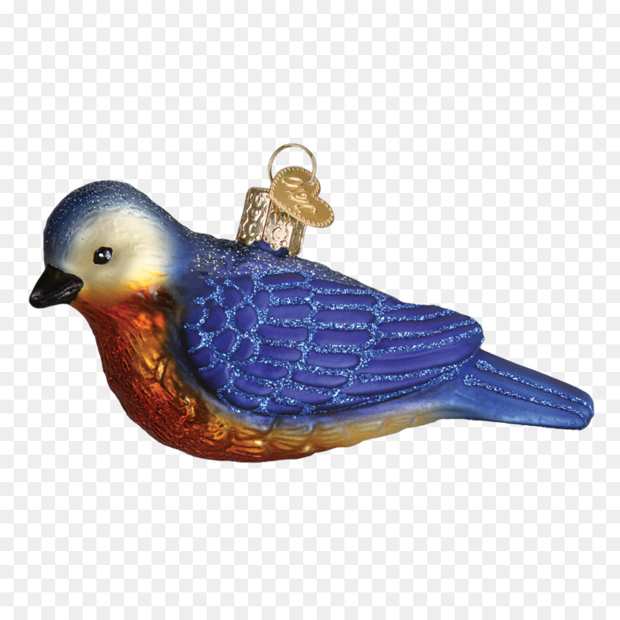 Pájaro，Occidental Bluebird PNG