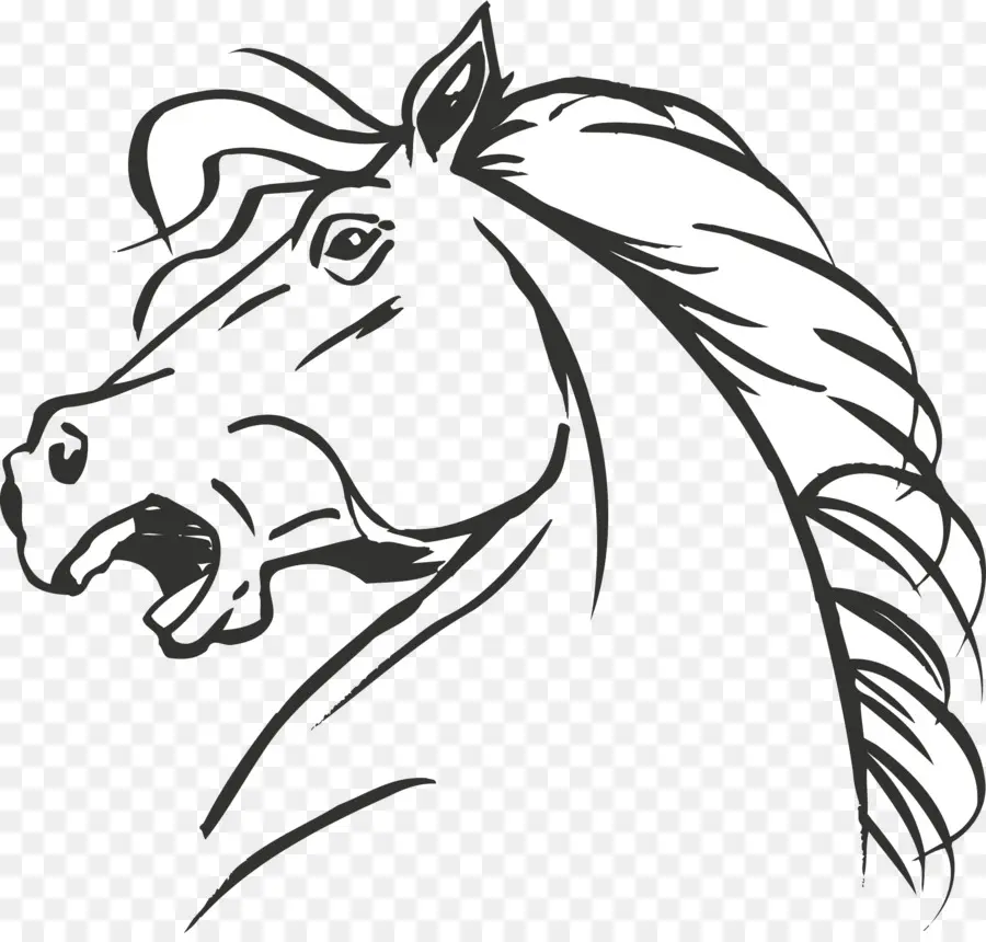 Cabeza De Caballo，Dibujo PNG