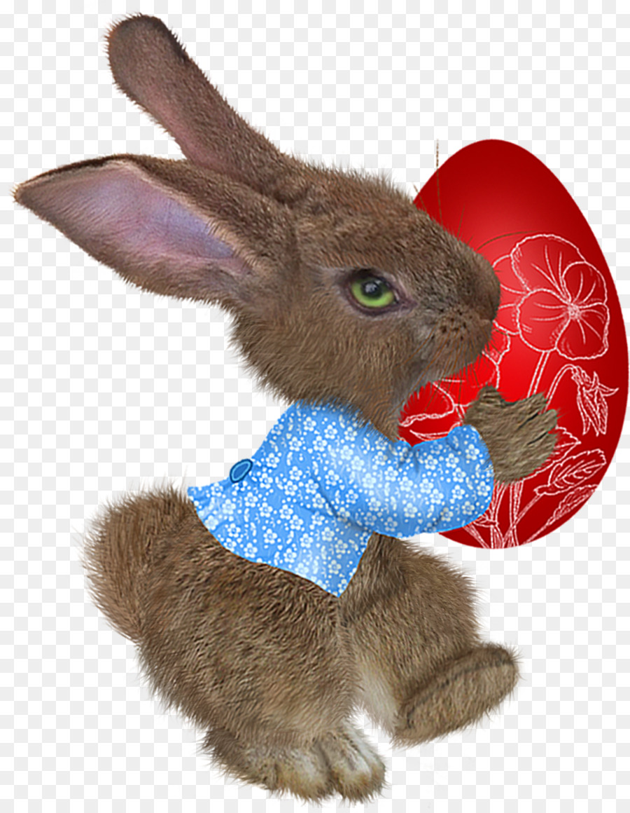 Conejito De Pascua，Nacionales De Conejo PNG