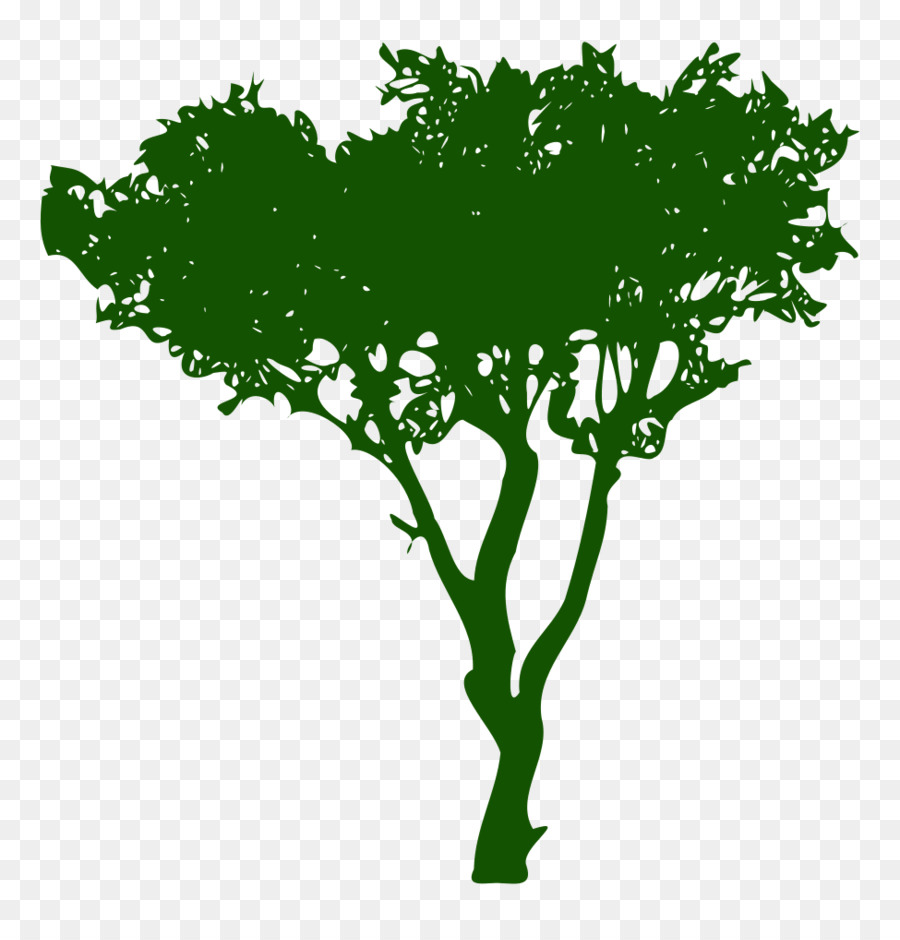 árbol，Patología PNG