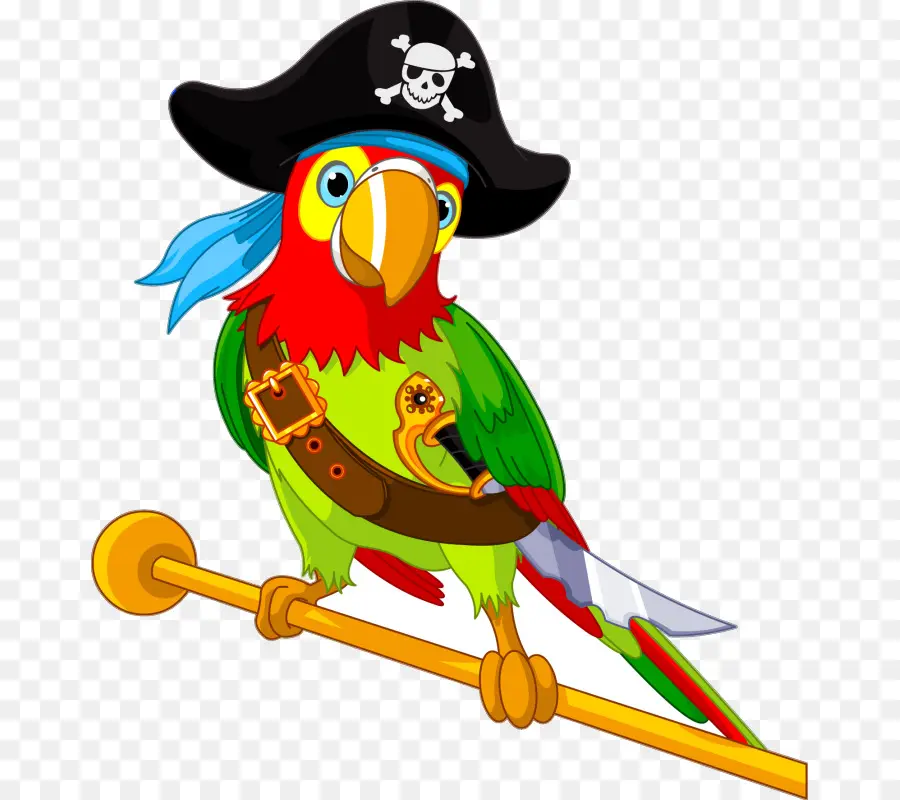 Parrot，Pirata Parrot PNG