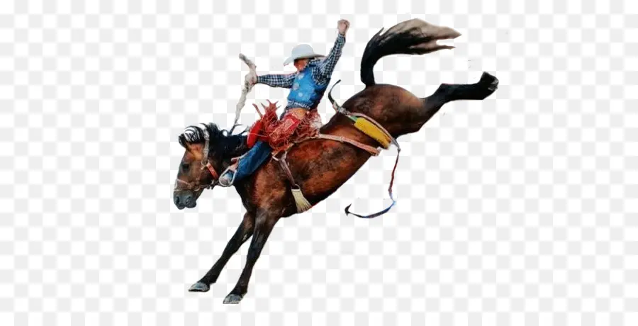 Caballo，Rodeo PNG