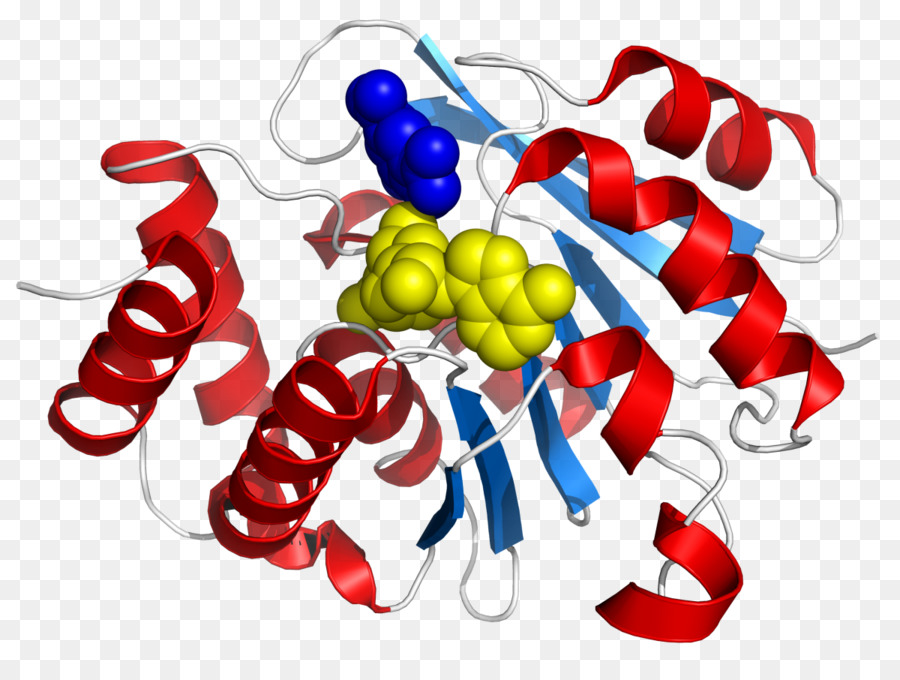 Catecholomethyltransferase，Catechol PNG