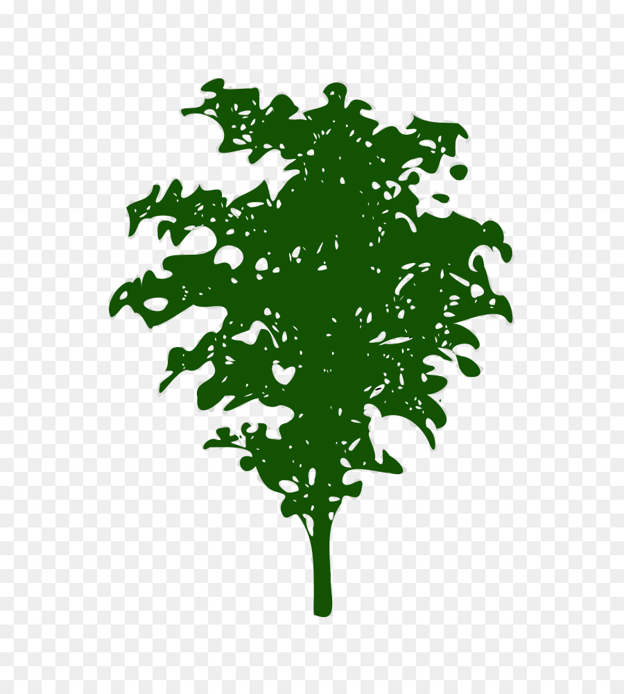 Verde，Hoja PNG