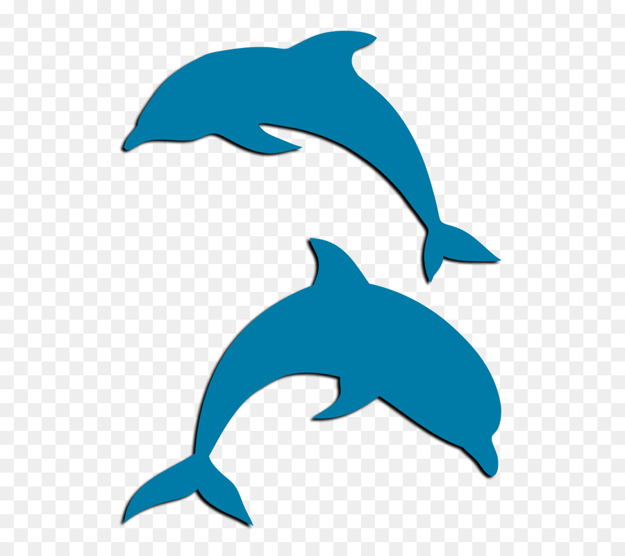 Delfines De Dibujos Animados，Marina PNG