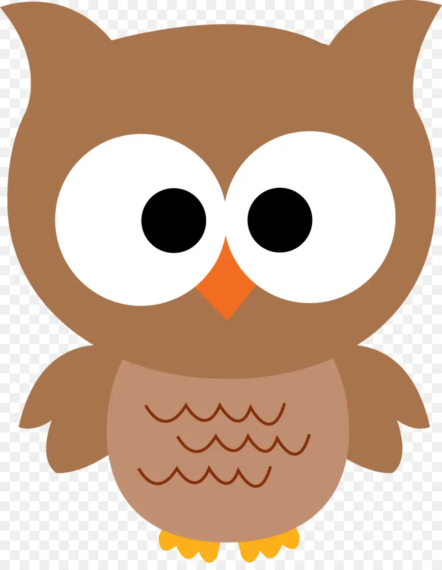 Búho，Barred Owl PNG