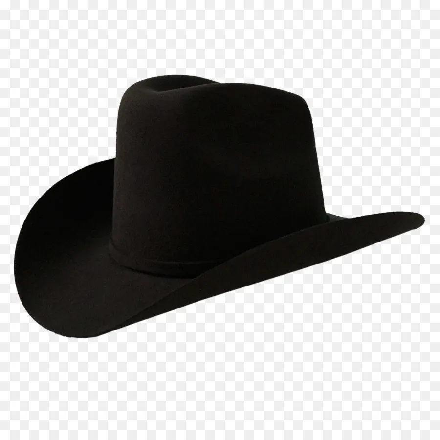 Sombrero De Vaquero，Vaquero PNG