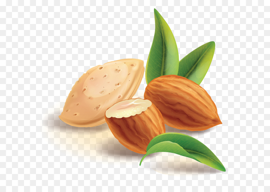 Almendras，Cojones PNG