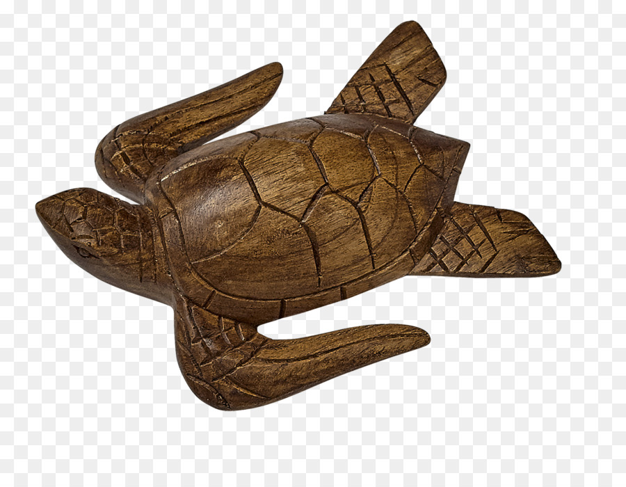 La Madera，Concha PNG