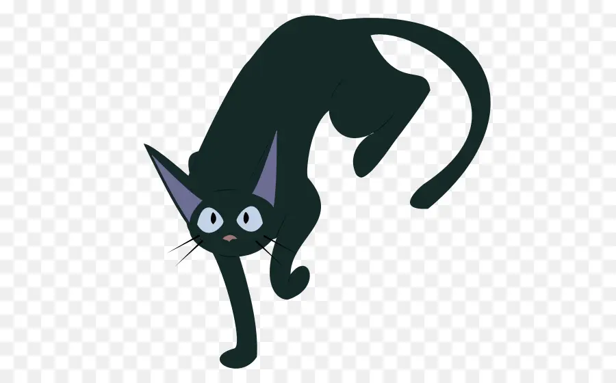 Gato Negro，Víspera De Todos Los Santos PNG