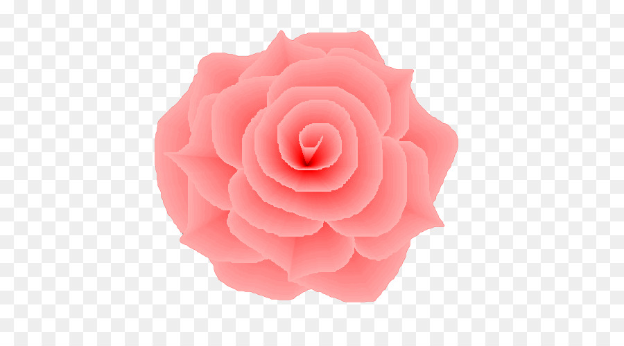 Rosa Roja，Florecer PNG