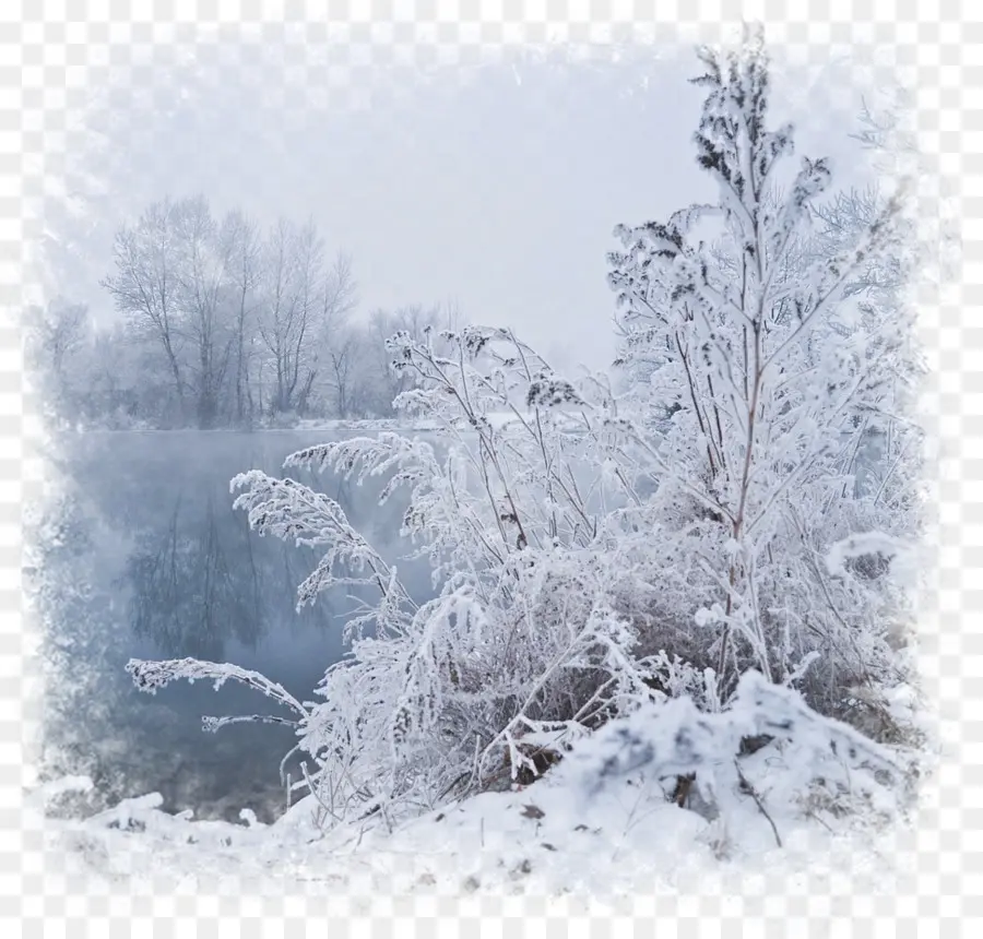 Paisaje De Invierno，Nieve PNG