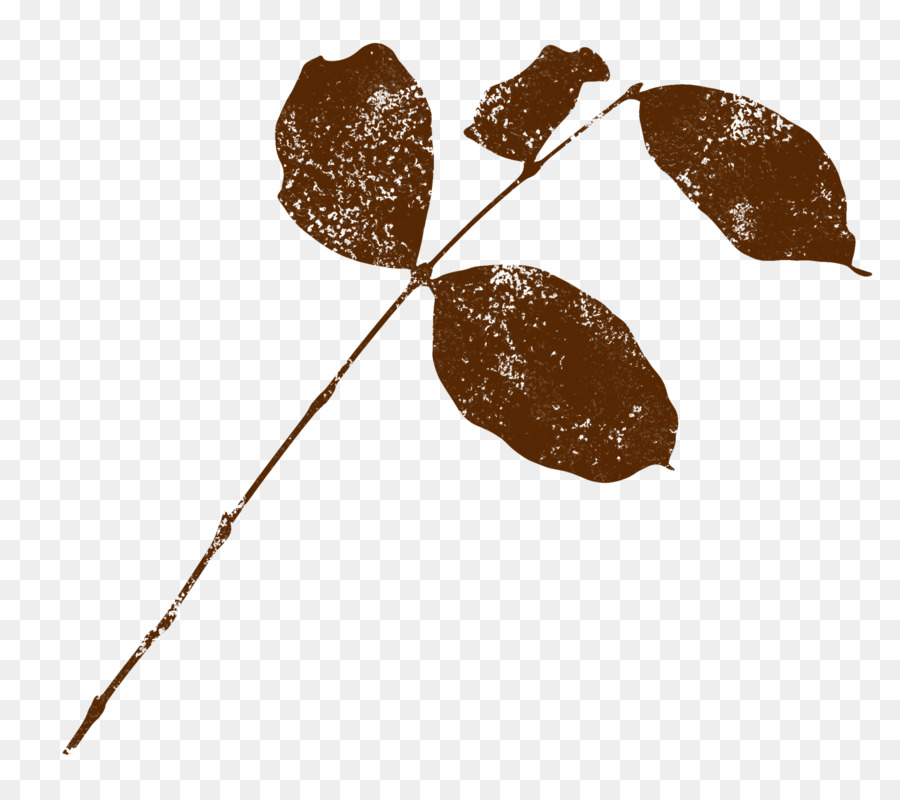 Hoja，Brown PNG