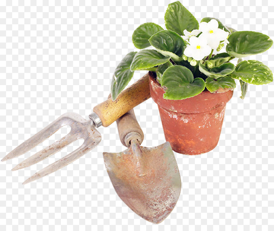 Maceta，Planta PNG