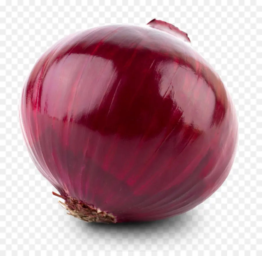 Cebolla Roja，Cebolla PNG