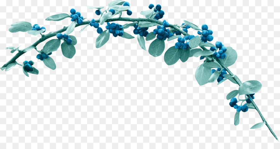 Flor，Berry PNG