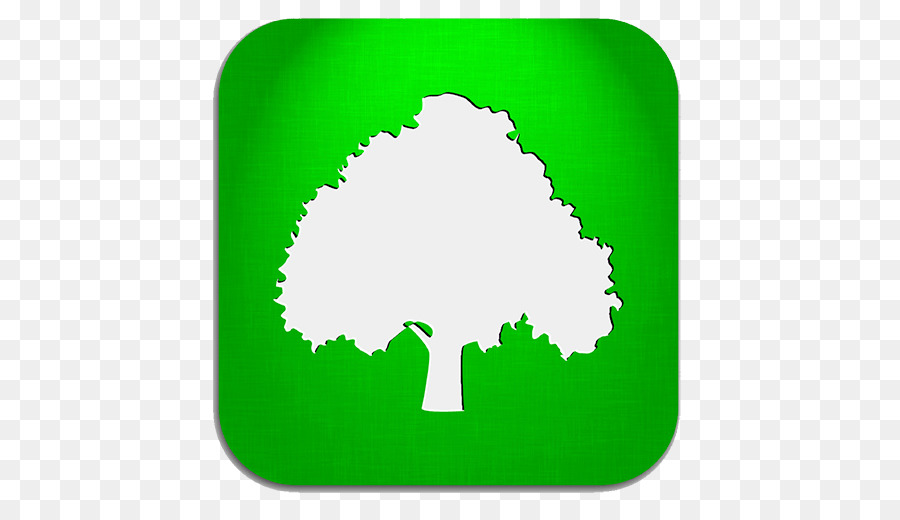 Árbol，Naturaleza PNG