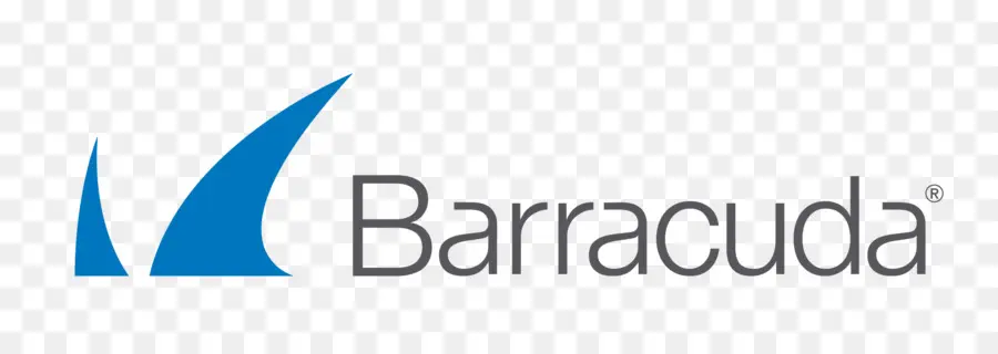 Barracuda Networks，Equipo De Seguridad PNG