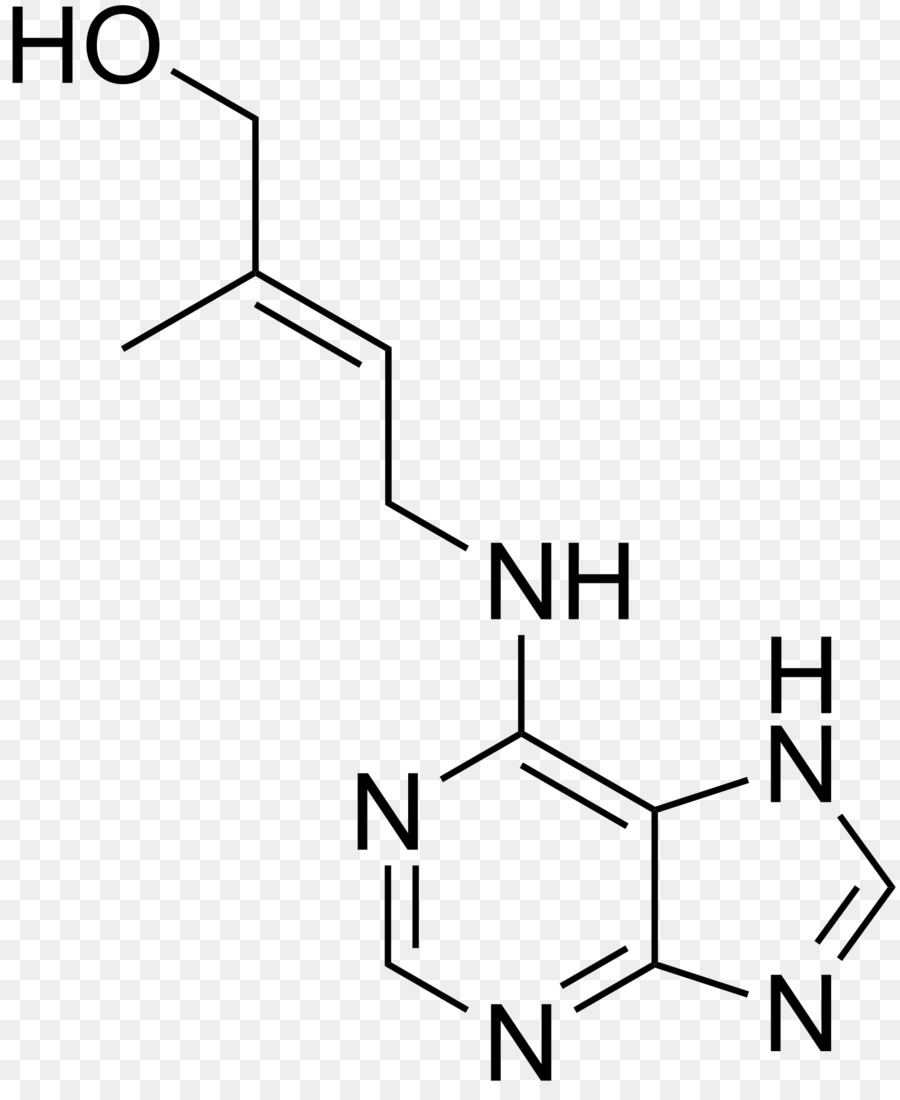 Estructura Química，Molécula PNG