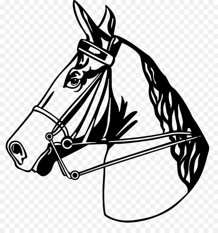 Caballo，Blanco PNG