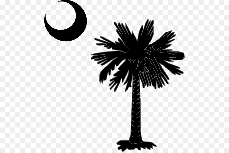 Palmera Y Luna Creciente，Negro PNG