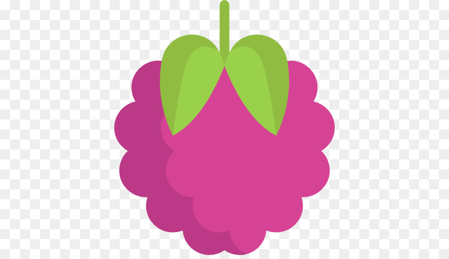 Icono De Baya，Fruta PNG