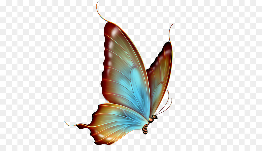 Mariposa，Youtube PNG