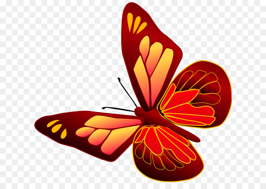 Mariposa，Rojo PNG