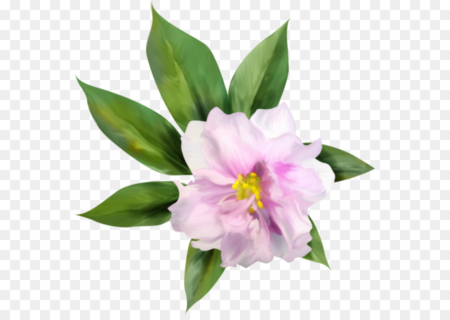 Diseño Floral，Flor PNG