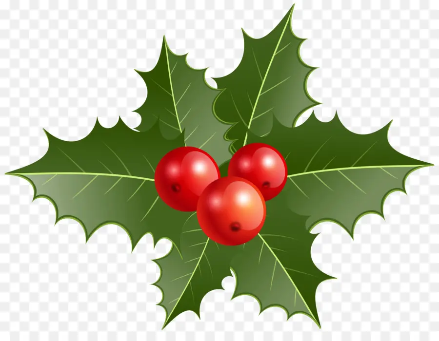 El Muérdago，Común Holly PNG