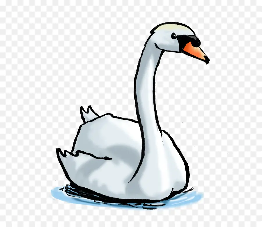 Cisne Blanco，Agua PNG