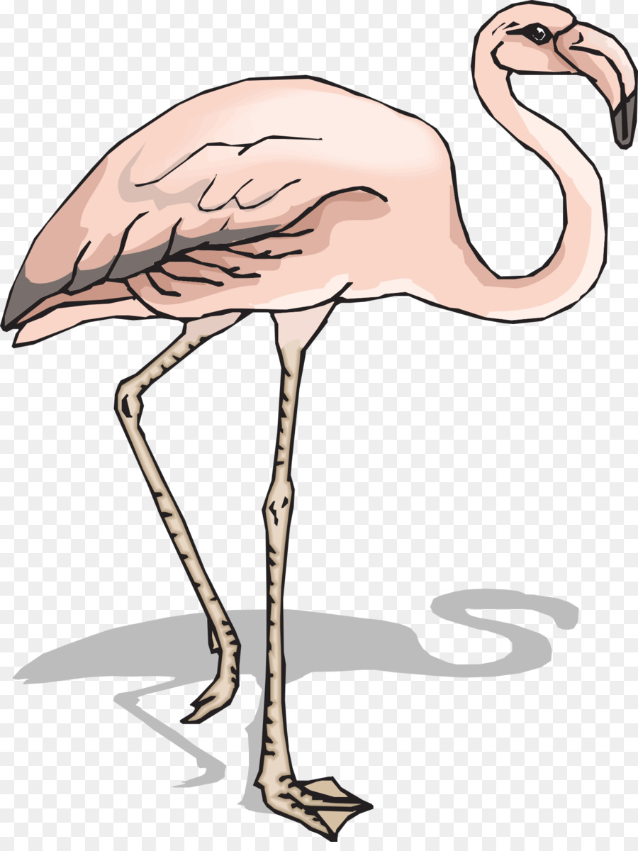 Flamingo，Descargar PNG