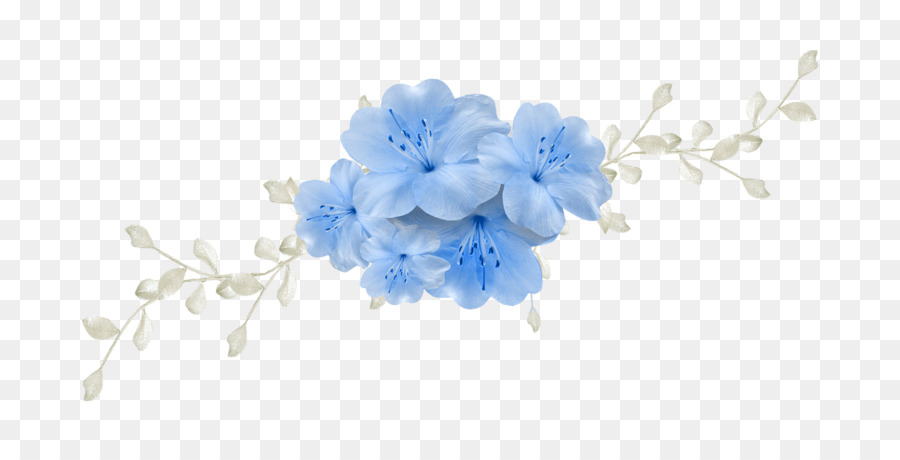 Flor，Color PNG