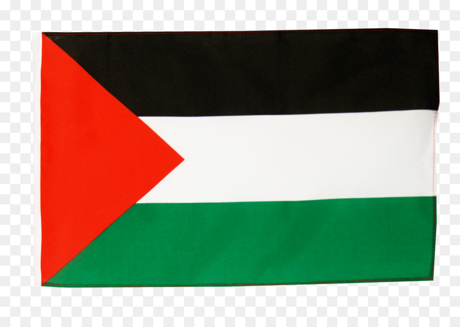 Estado De Palestina，Bandera De Palestina PNG