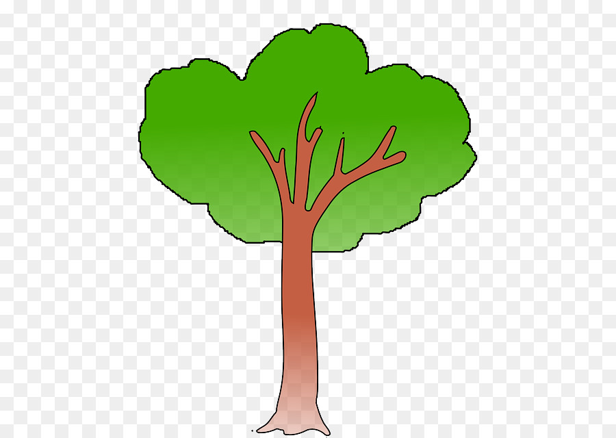 árbol Verde，Naturaleza PNG