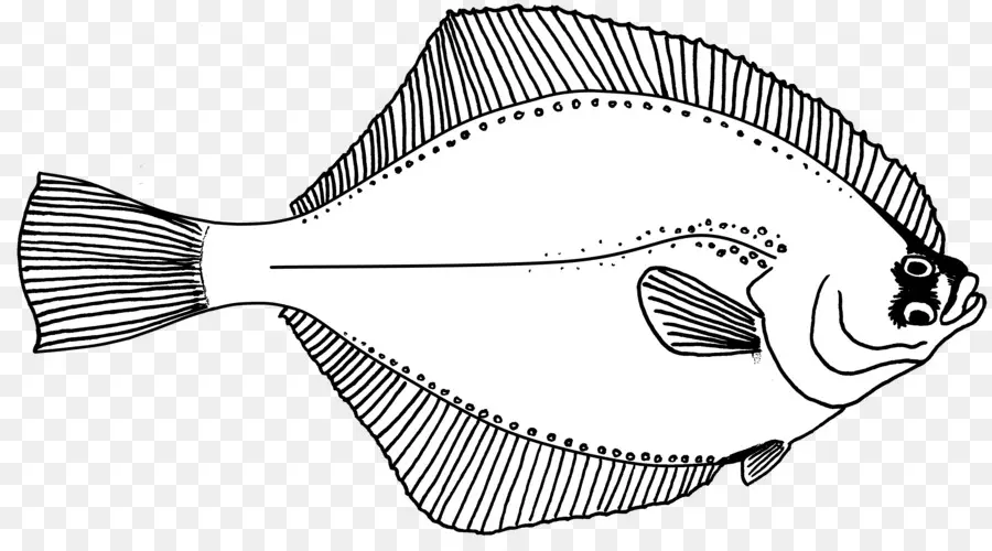 Arte De Línea，Los Peces PNG