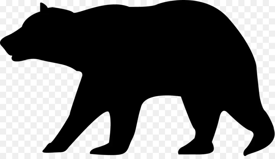 El Oso Negro Americano，Oso PNG