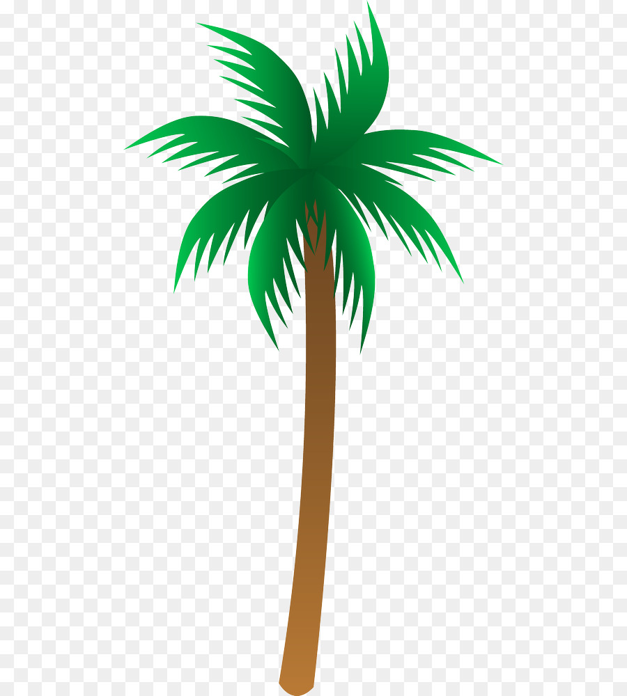 Palmera，Tropical PNG