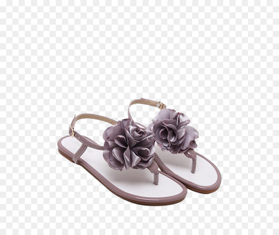 Flipflops，La Moda PNG