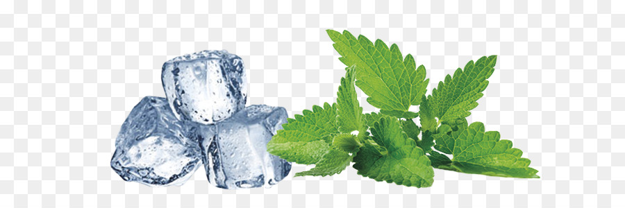 Cubitos De Hielo Y Menta，Hielo PNG