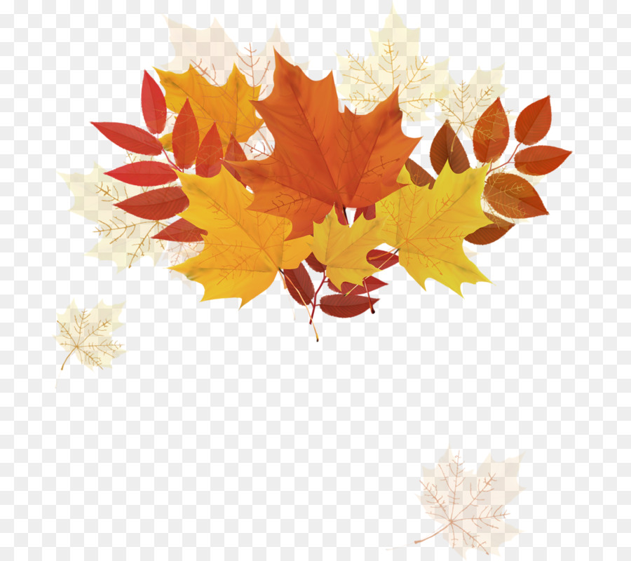 Hojas De Otoño，Caer PNG