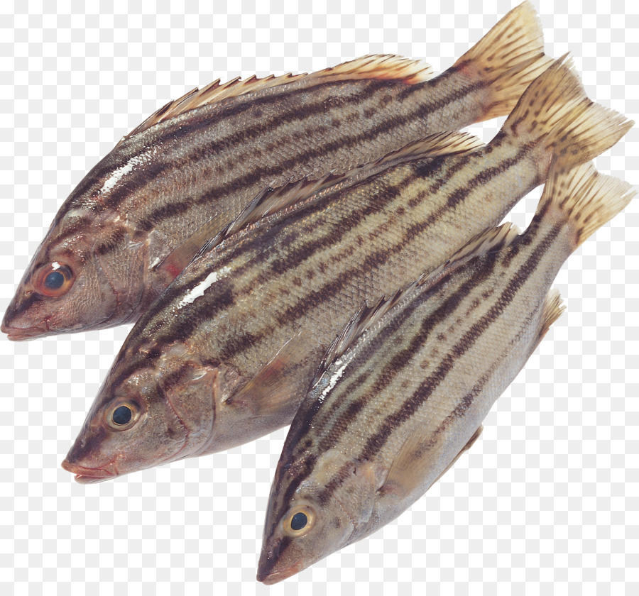 Los Peces，Capelán PNG