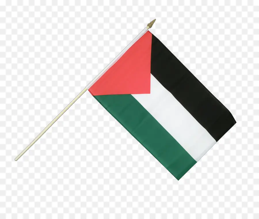 Bandera，Bandera De Palestina PNG