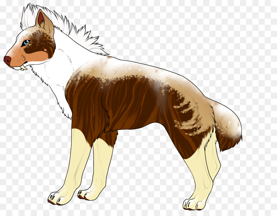 Raza De Perro，Perro PNG