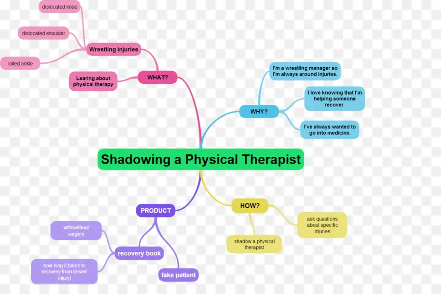 Mapa Mental，Fisioterapia PNG