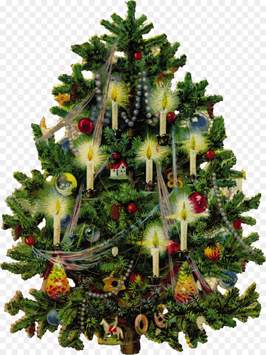 En La época Victoriana，árbol De Navidad PNG