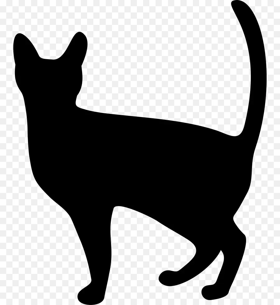 Gato Negro，Silueta PNG